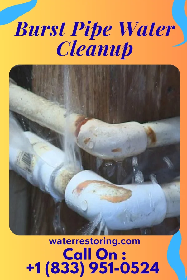 Burst Pipe Water Cleanup in Nazareth College, NY