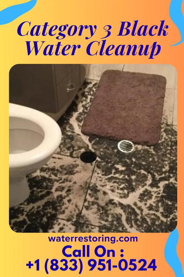 Category 3 Black Water Cleanup in Nazareth College, NY