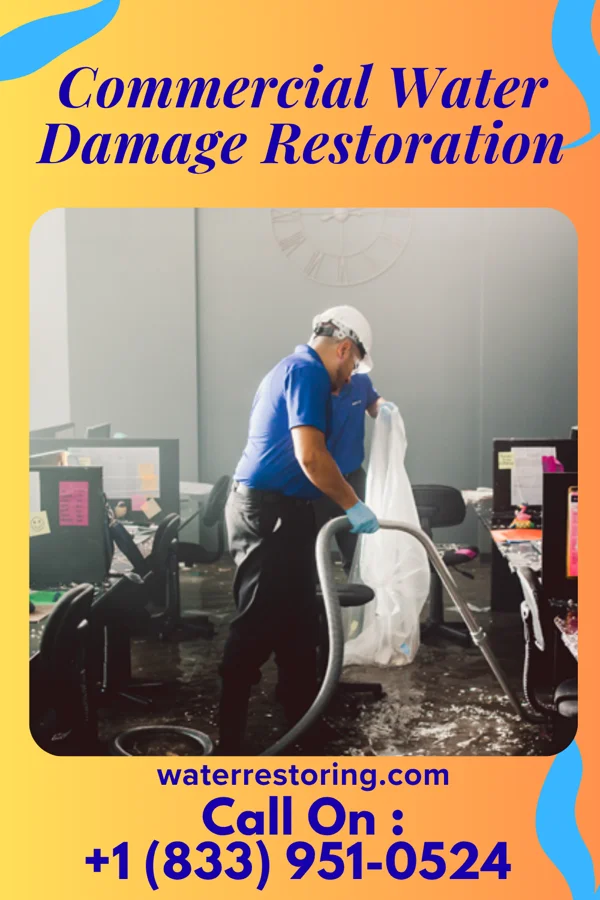 Commercial Water Damage Restoration in Nazareth College, NY