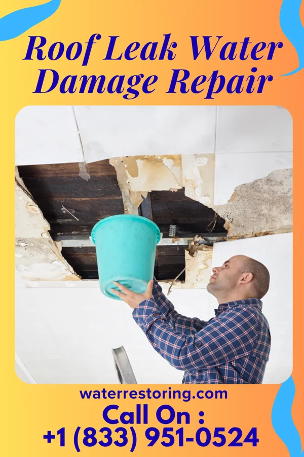 Roof Leak Water Damage Repair in Nazareth College, NY