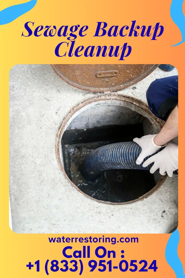 Sewage Backup Cleanup in Nazareth College, NY